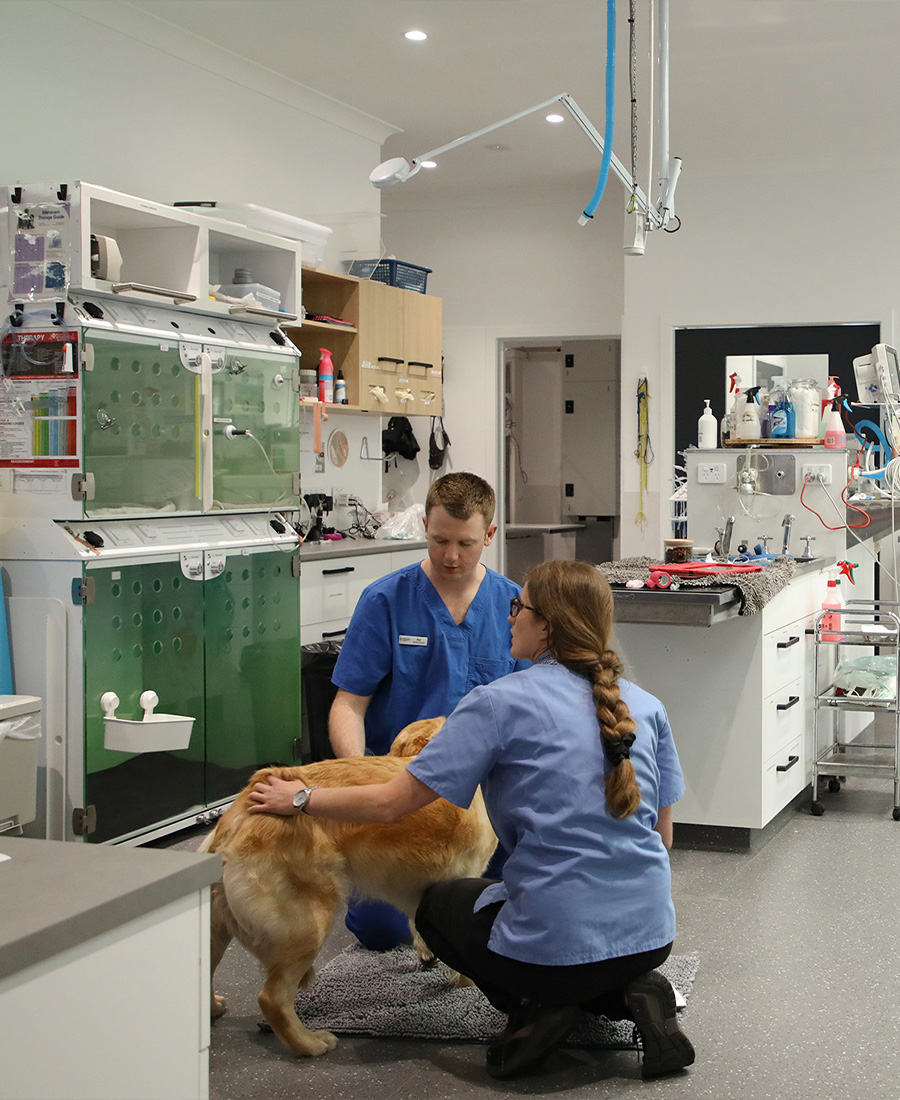 Gippsland Pet Emergency - FAQ